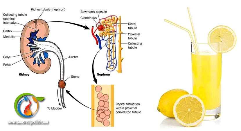 lemon honey water