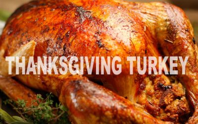 Simple Thanksgiving Turkey Recipe